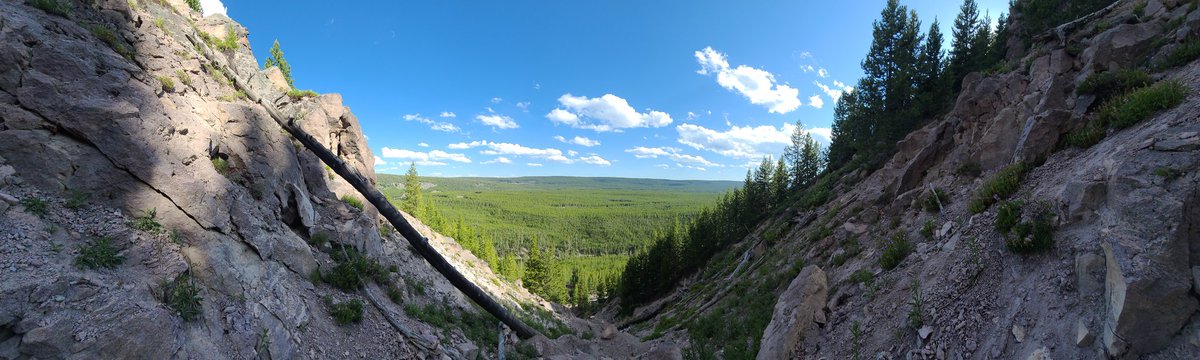 Stacy Henderson, MS tweet media