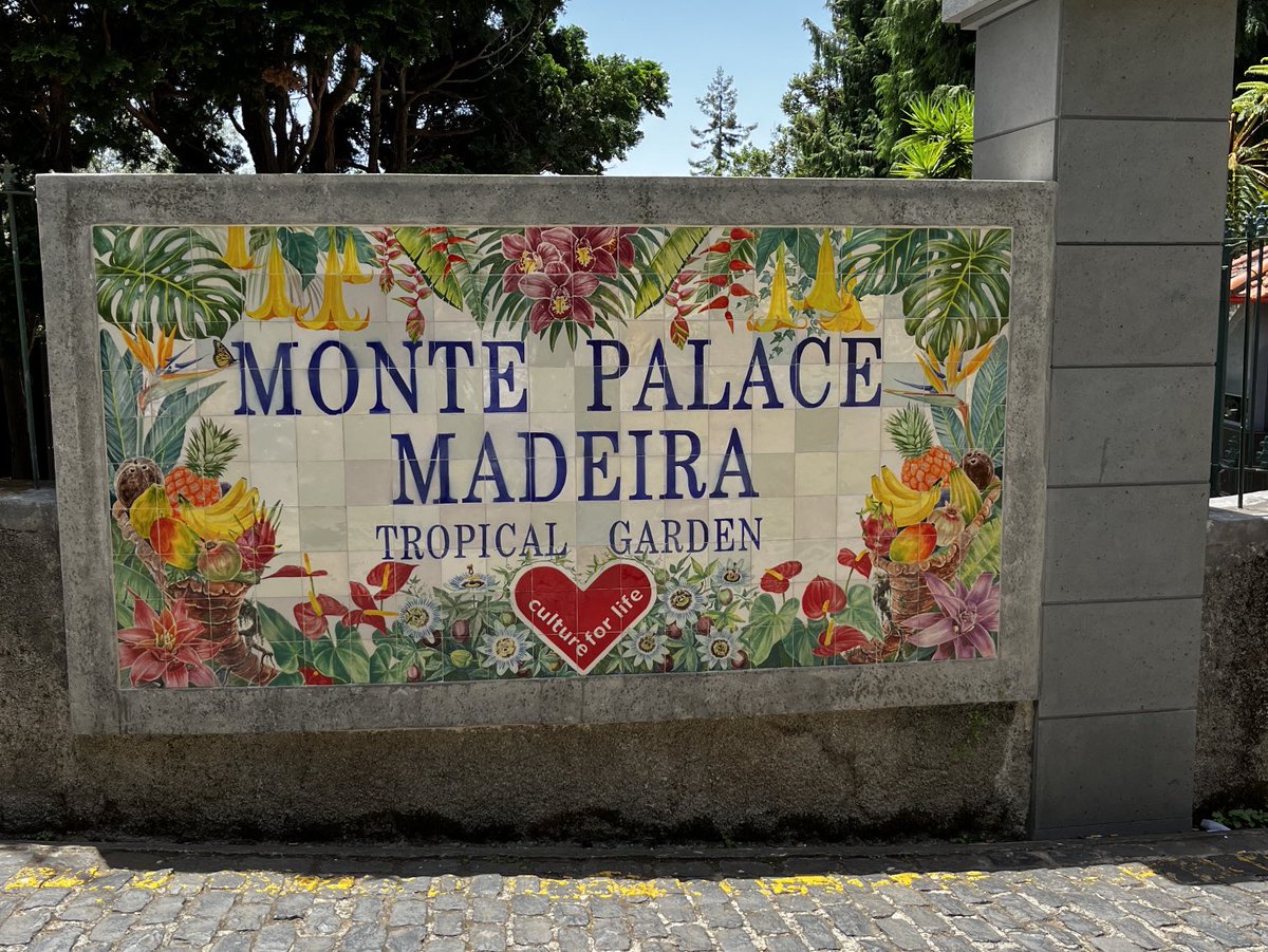 Monte Palace Madeira ⁦@Madeira⁩ #madeira #madeiraislands