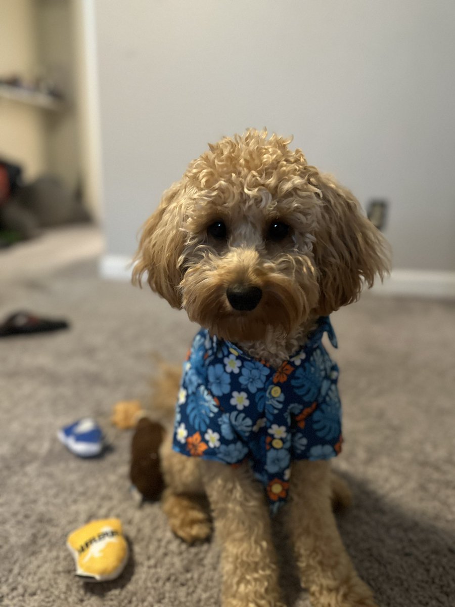 Heather Mclamb tweet media