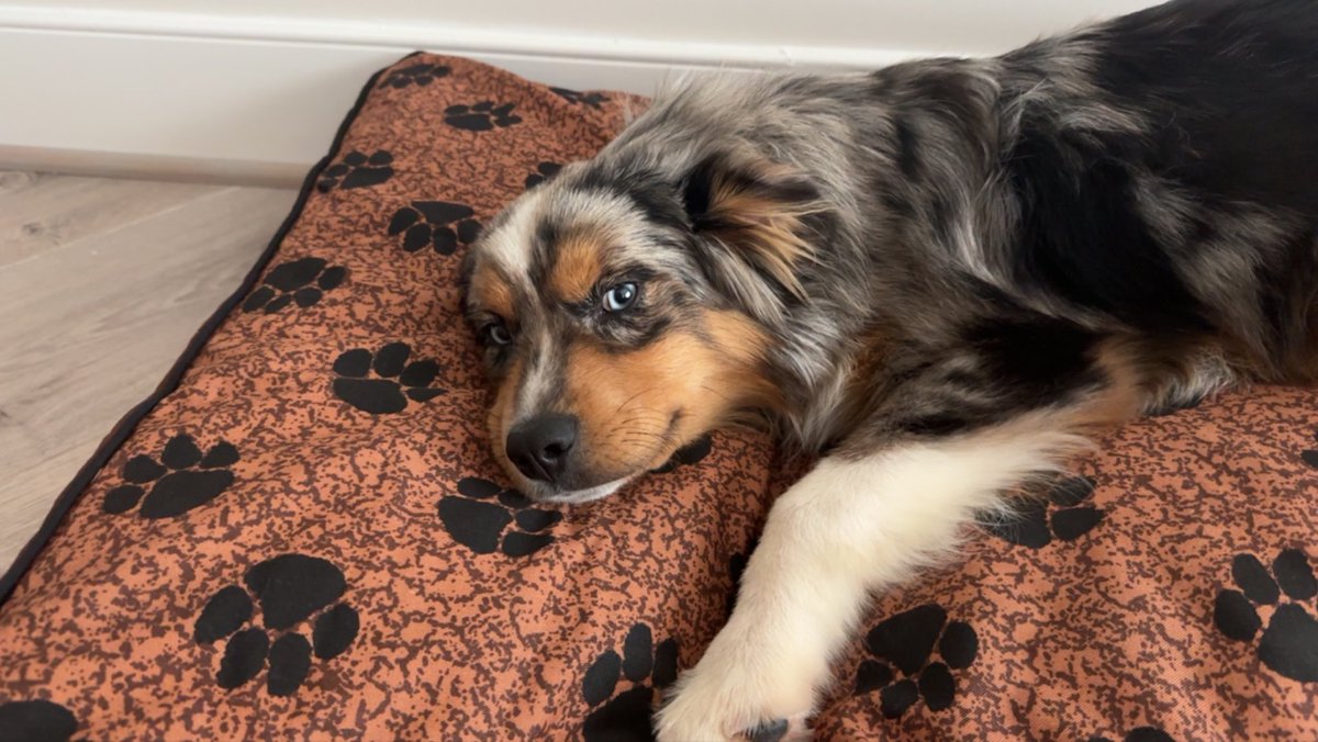 Natalie Winters on Twitter "Thank you SebGorka for Jefferson’s new