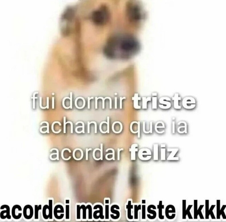 shitpostverdade's tweet photo. https://t.co/tMTlCMxHuF