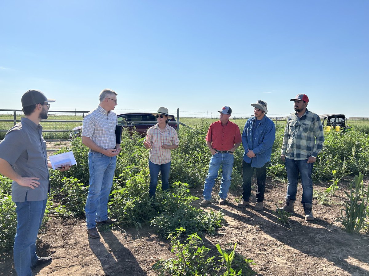 Krishna Jagadish tweet media