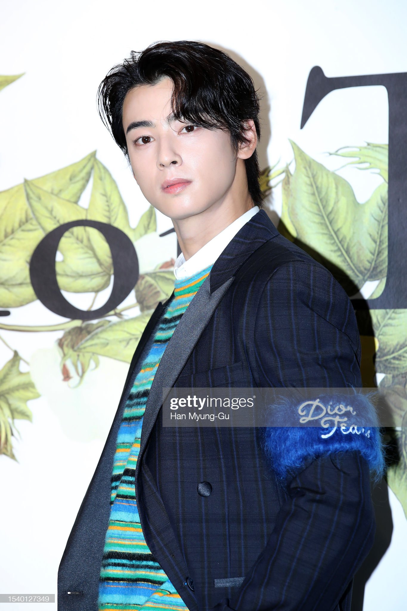 チャウヌ リアリティ アート フィギュア　CHA EUN-WOO ONE) ASTRO - Cha Eun Woo Real 3D Art Figure (CHA EUM WOO
