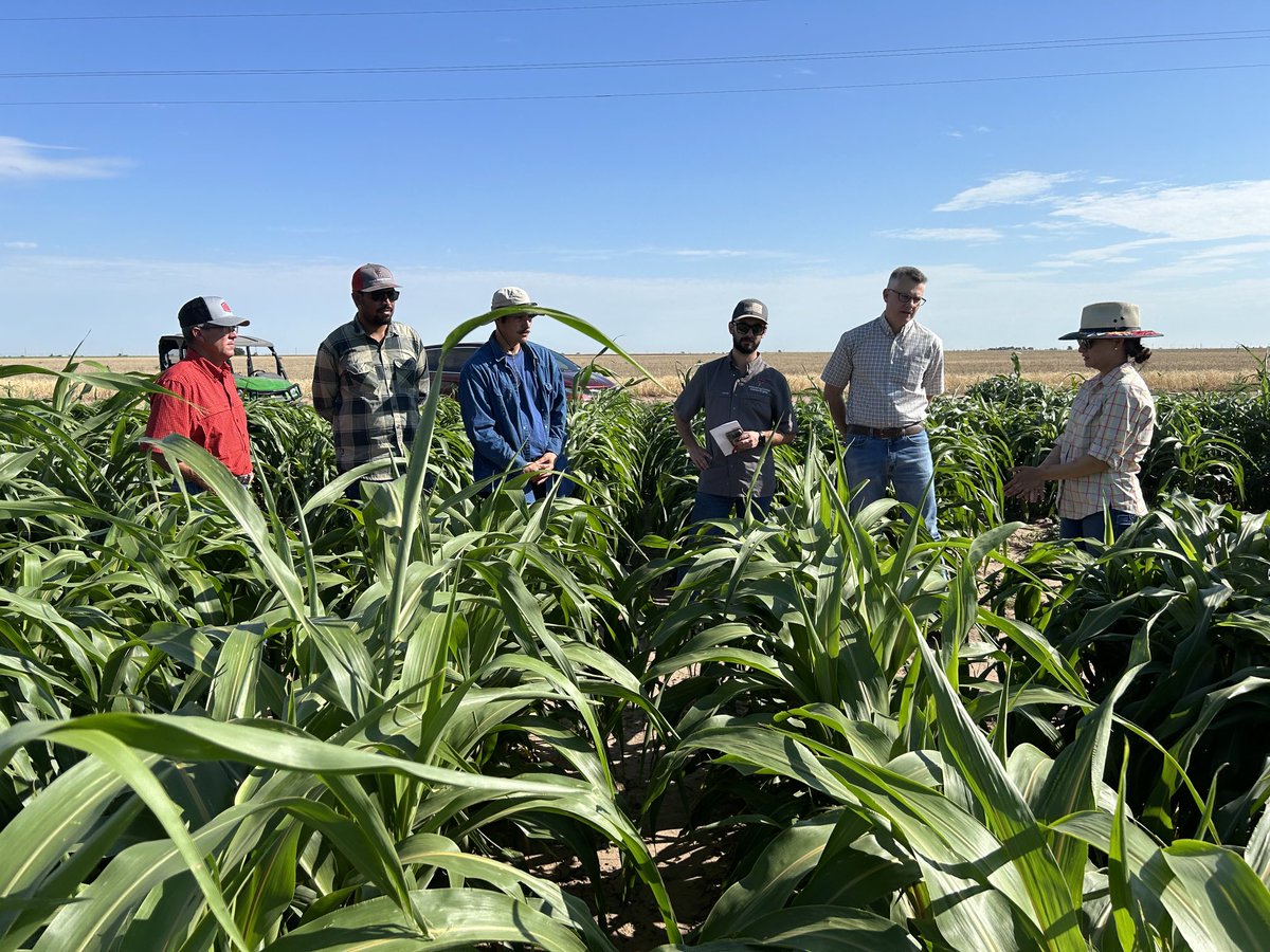 Krishna Jagadish tweet media