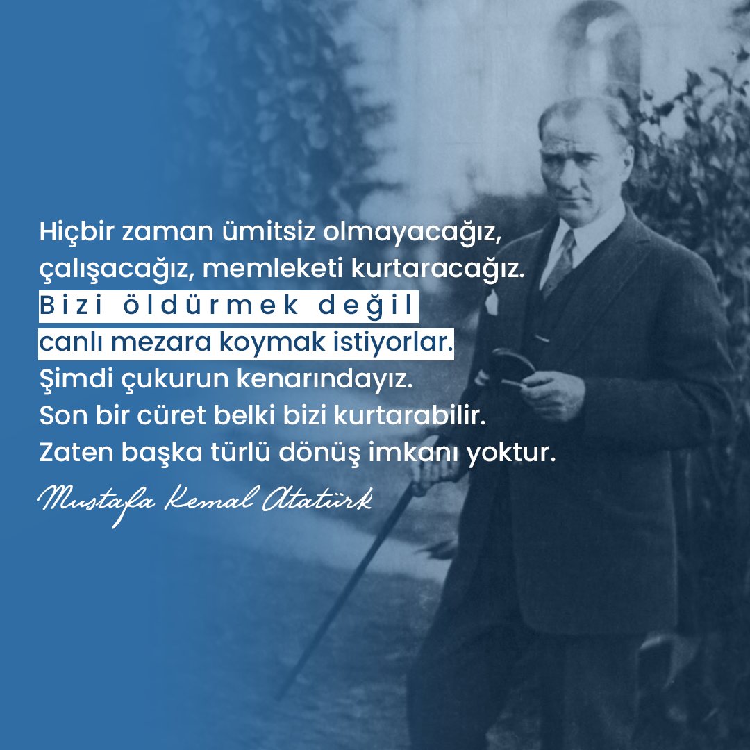 Yiğidos 🇹🇷 tweet media