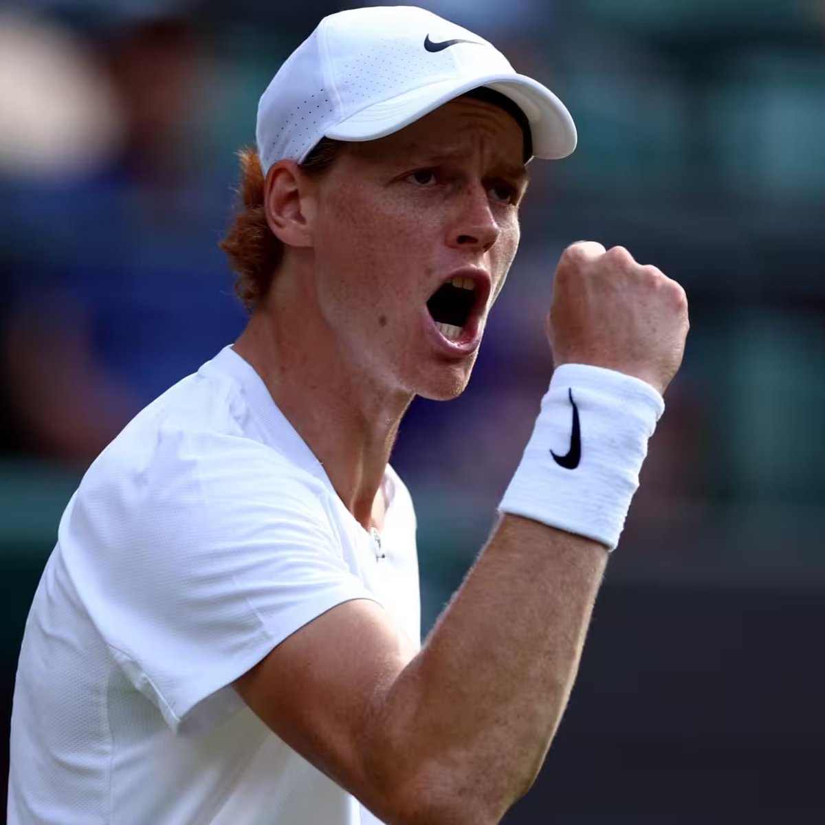 quindicizero's tweet photo. Match day.

🦊🐺

#Wimbledon https://t.co/AoyNgI37R6