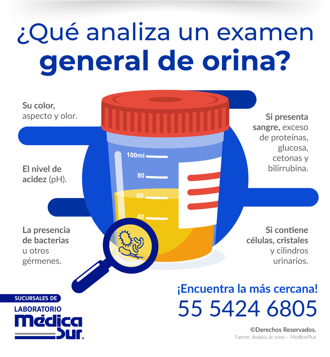 medicasur's tweet photo. Una prueba de #orina puede revisar si presentas una #infección de las vías urinarias, problemas renales, #diabetes, entre otros padecimientos. ¡Conoce más! 

#Laboratorio #LaboratorioMédicaSur #PruebasDeLaboratorio #AnalisisLaboratorio #ExamenDeOrina #EGO https://t.co/j64cq1ndpf