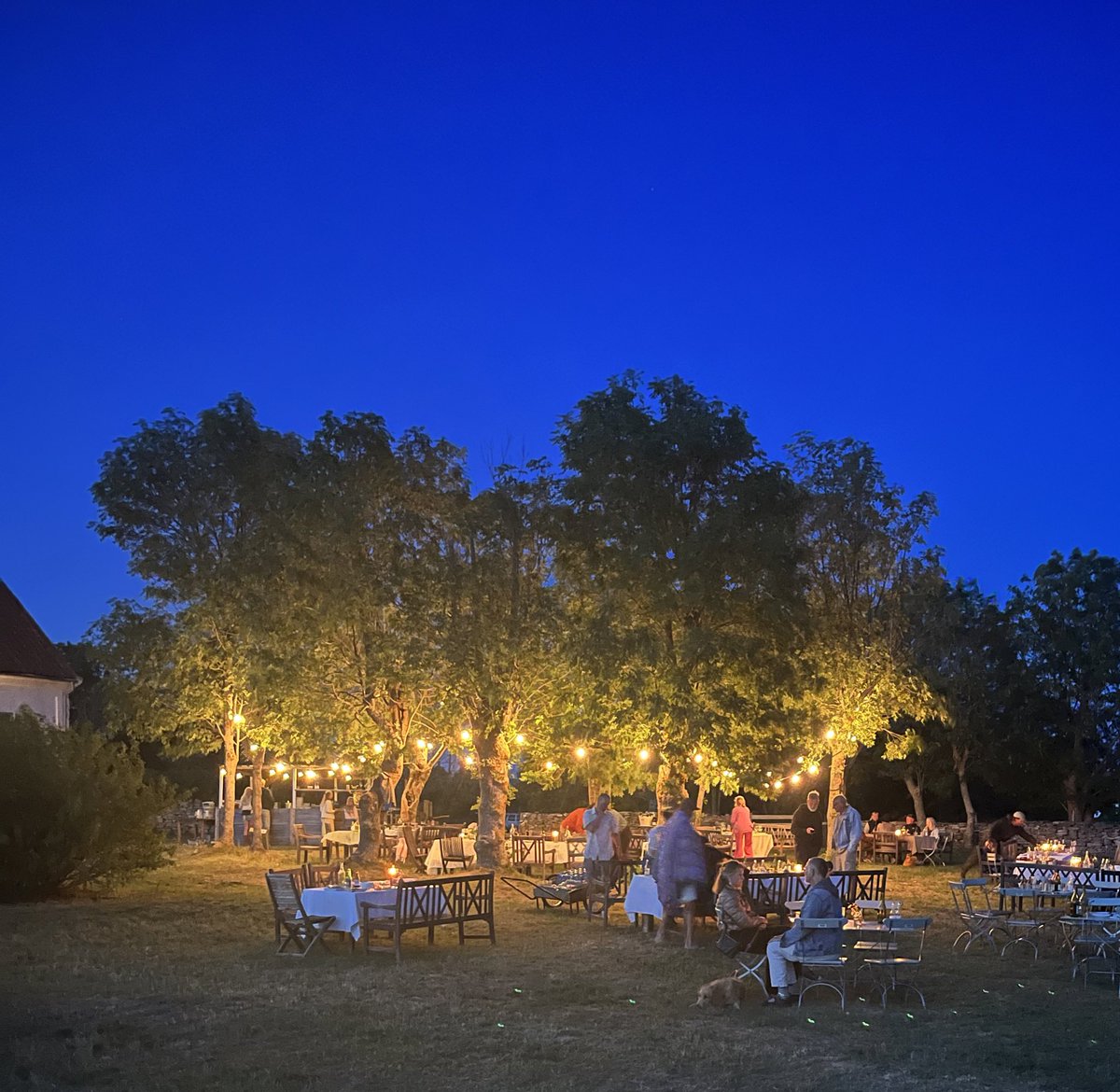 Niclas Sjögren Berg tweet media