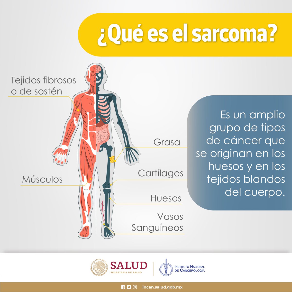 incanMX's tweet photo. 🎗️ 13 de julio | Día Mundial contra el Sarcoma https://t.co/ewbqnq1e0p