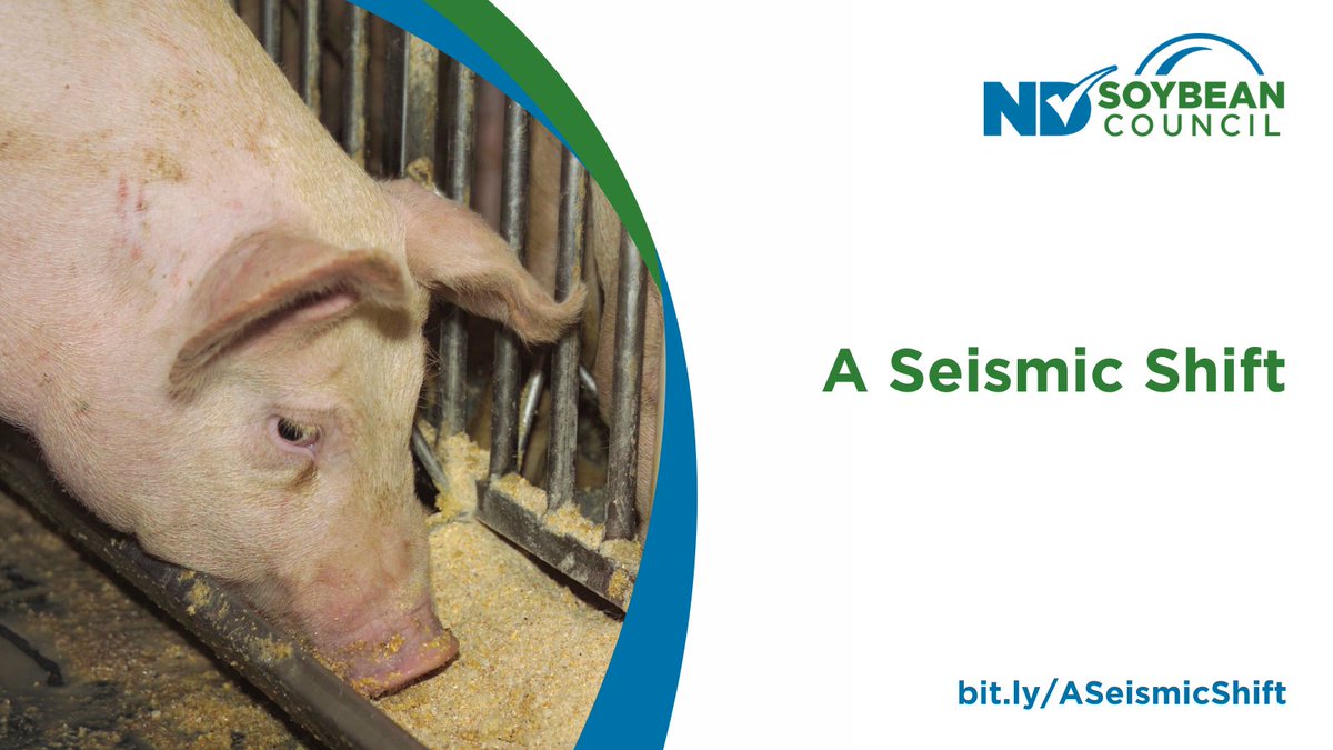 NDSoybean's tweet image. North Dakota's #soybeanprocessing capacity will change dramatically in the coming months, putting soybean meal, oil and hulls into the #market. Learn more: bit.ly/ASeismicShift