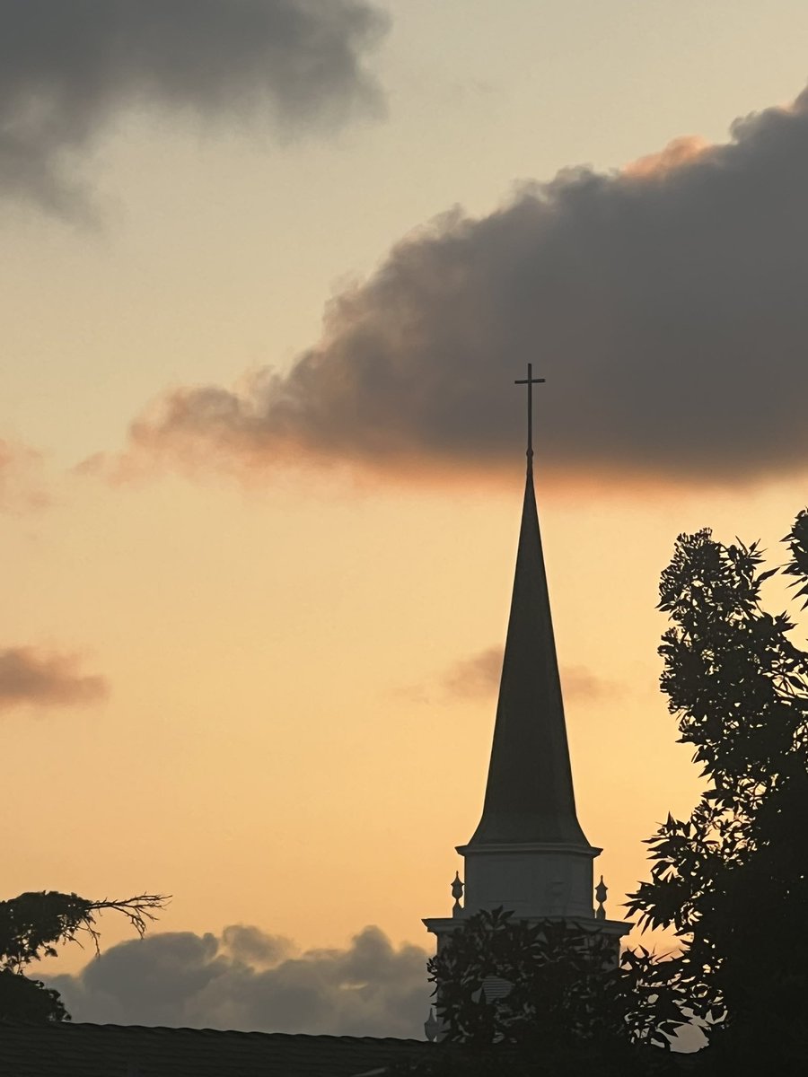 sickplasticc's tweet image. 