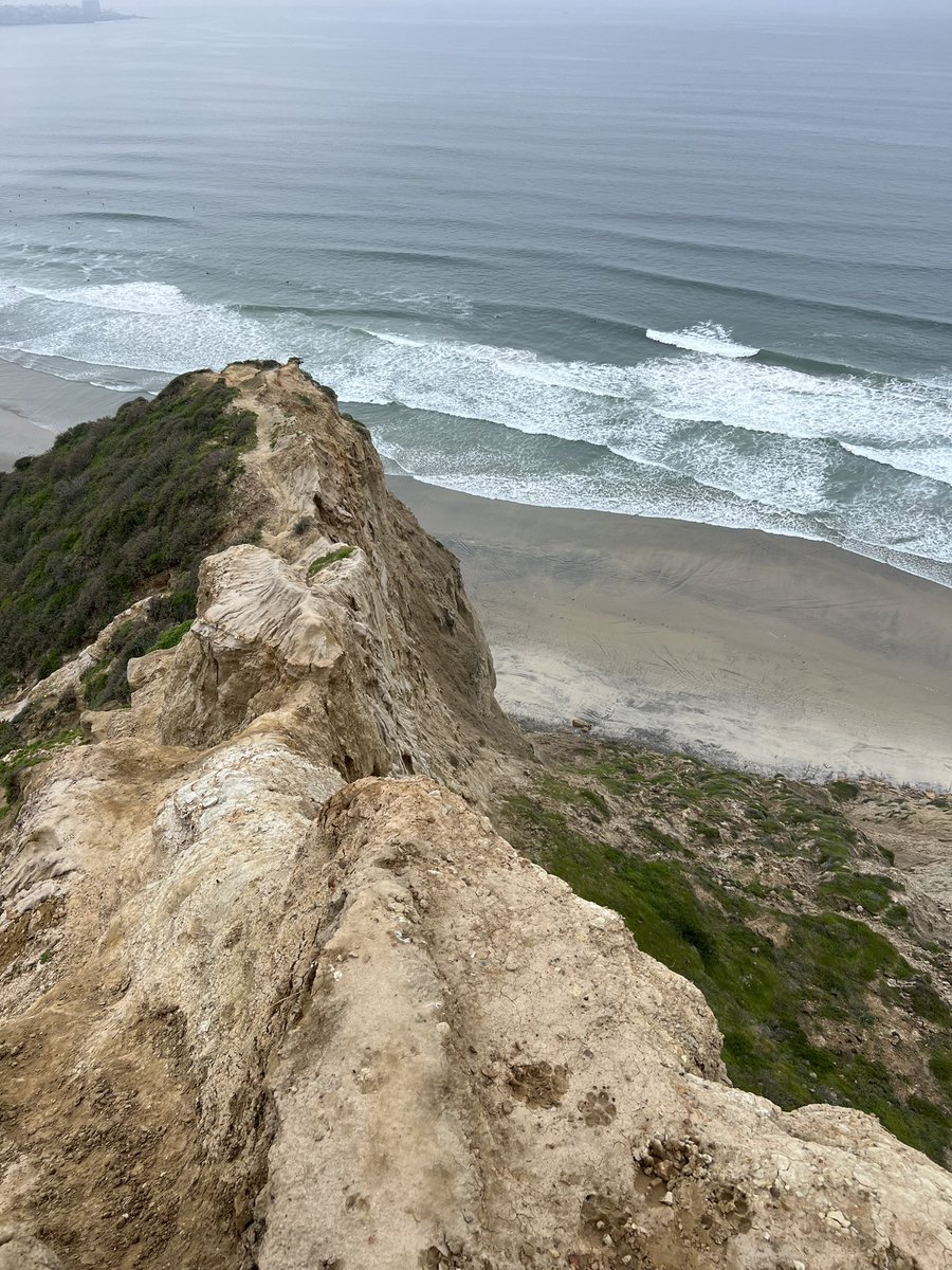 sickplasticc's tweet image. 