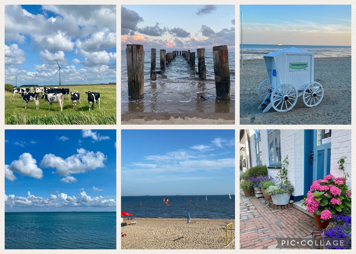 Postcard from #Föhr, German North Sea 🌊 #Summervacation2023 Always 👋 #Föhrliebt