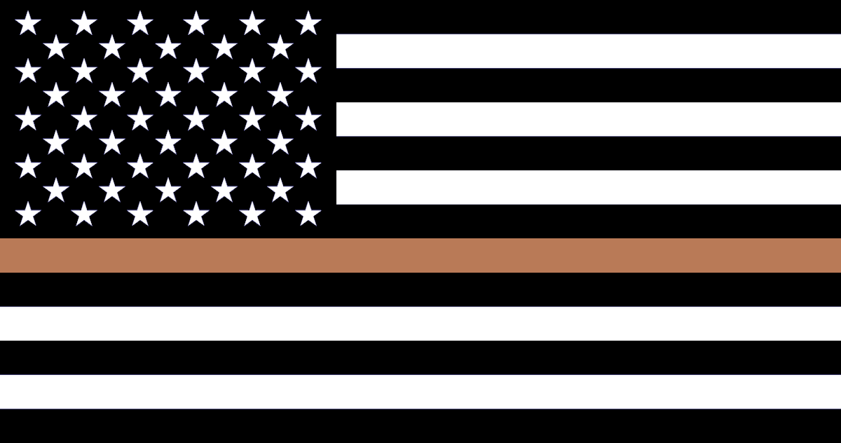 DonShift3's tweet photo. I thanked the UPS man for delivering on a very hot day in my AO and he genuinely appreciated it. I think the delivery drivers are more important to me than cops or firefighters (and even strippers). I'll put this #thinbrownline sticker on my car any day. https://t.co/Qi4rlQzvNC