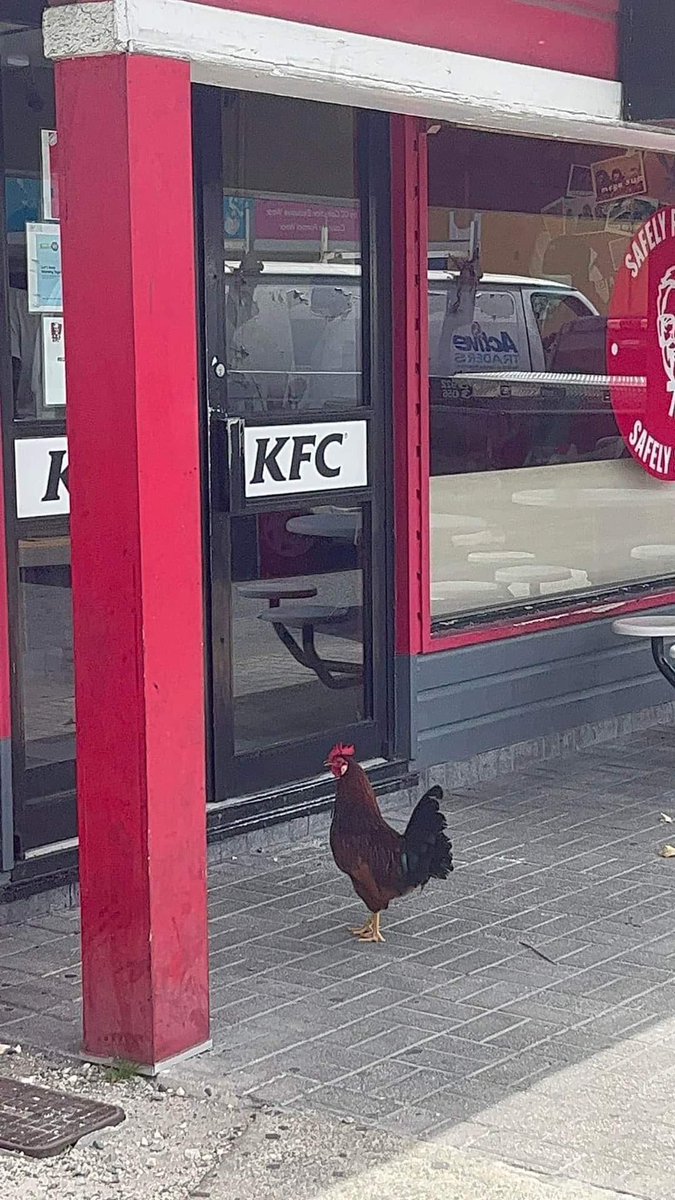 اعتزل مايؤذيك

انا: