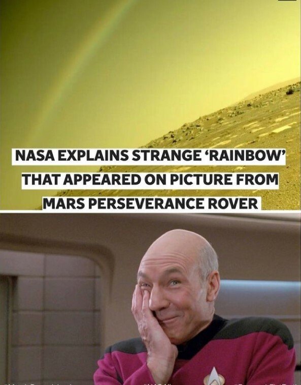 Cold Cheese tweet media