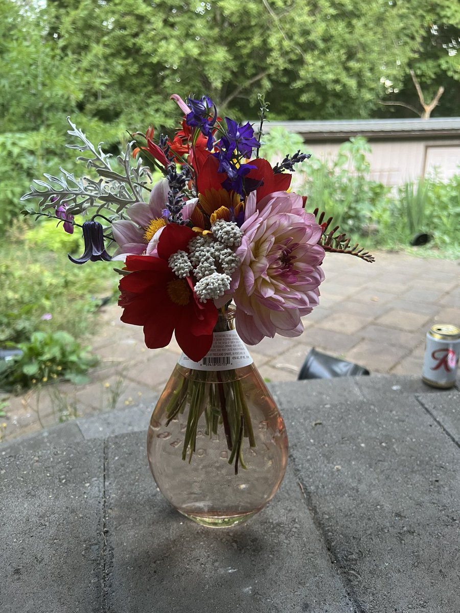 yikestrin's tweet photo. happy summer!!!! look at all the flowers from my garden 🥹 https://t.co/KNGT7JlY7B