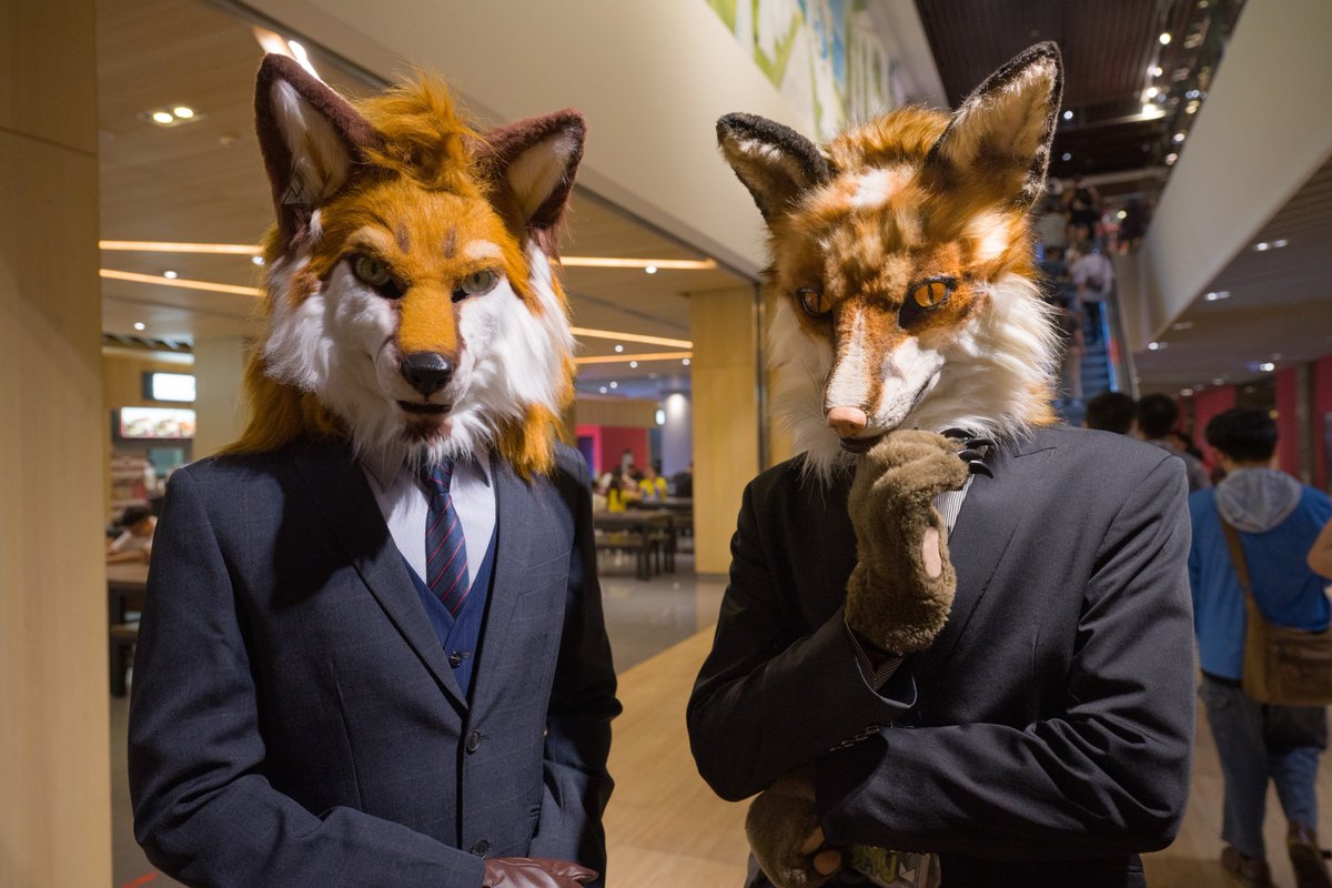 MalicxFox's tweet photo. 🦊👔🦊👔!
#FursuitFriday 
✂️:@BeastFantasia 
📷:@Ebiroru https://t.co/SjPIGBS4sh