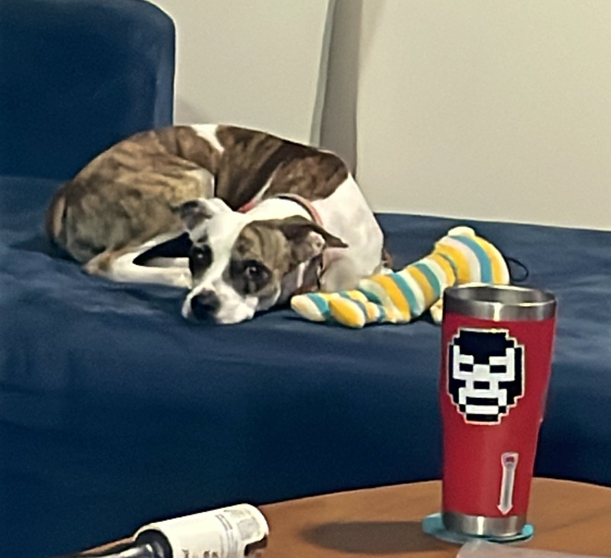 Yo apoyo a <a href="/cryptolucha/">Crypto Lucha Club 🌮</a> 🐶