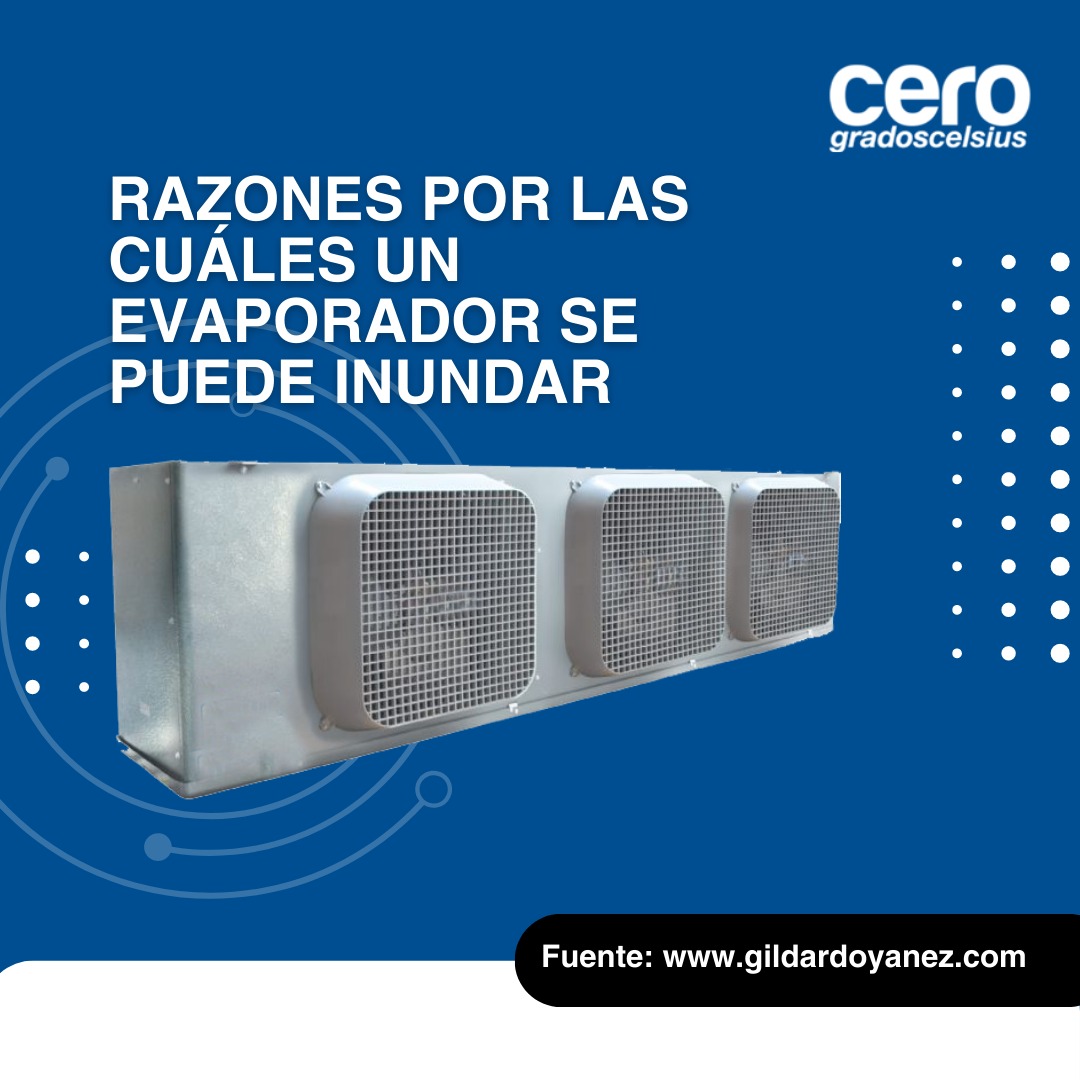 Revista Cero Grados tweet media