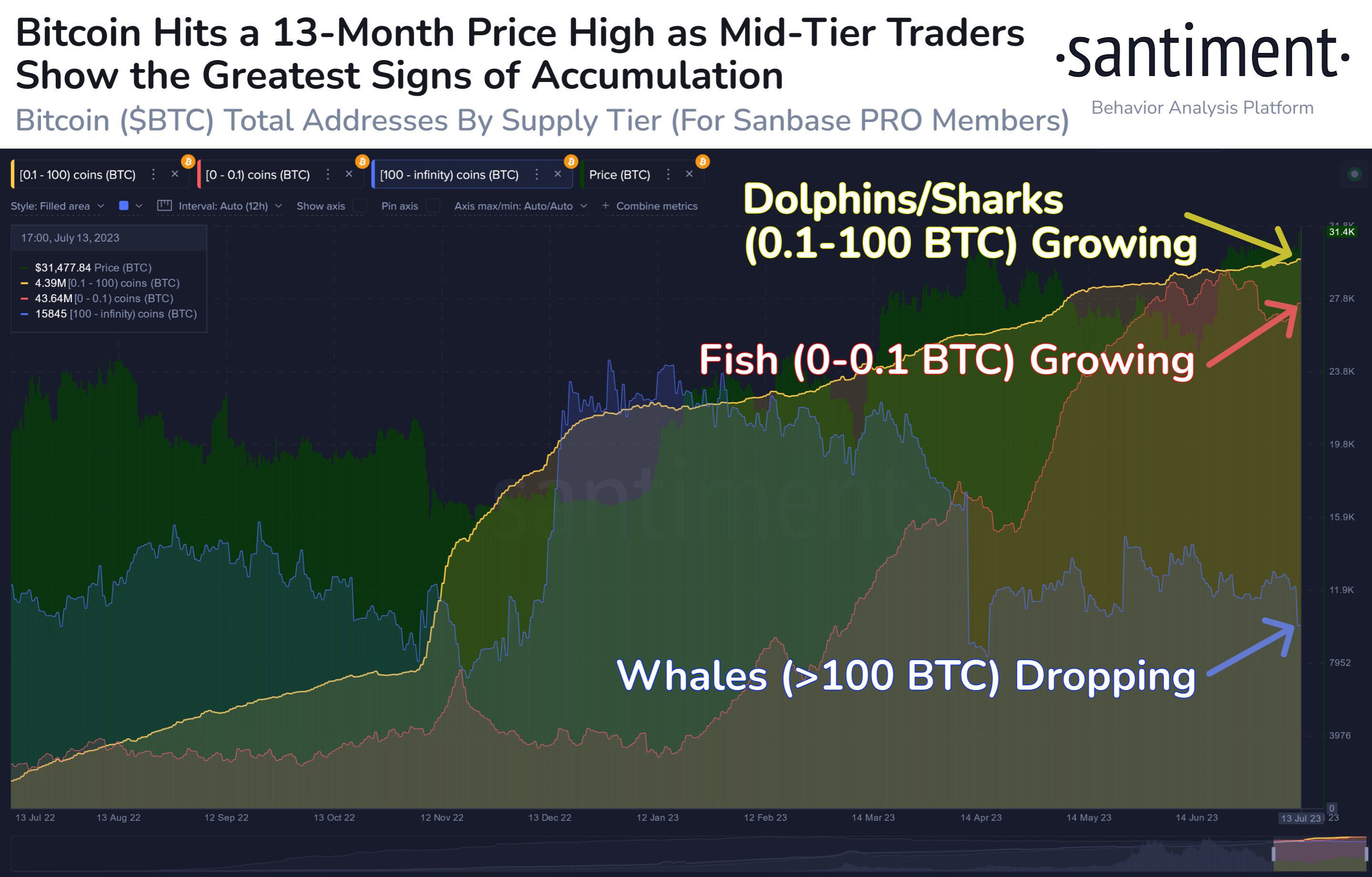 Bitcoin Whales Sell As BTC Flies Above $31,000