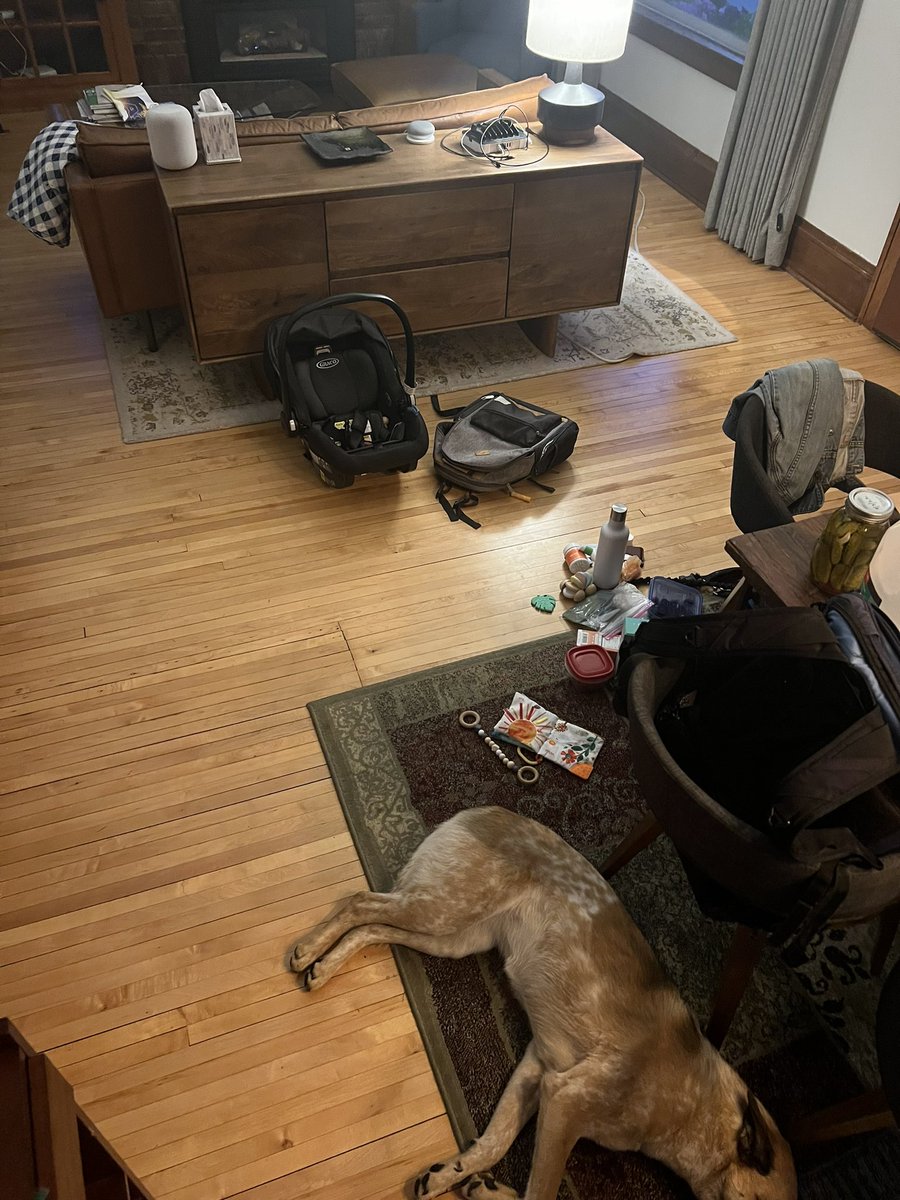 Andrew Minck tweet media