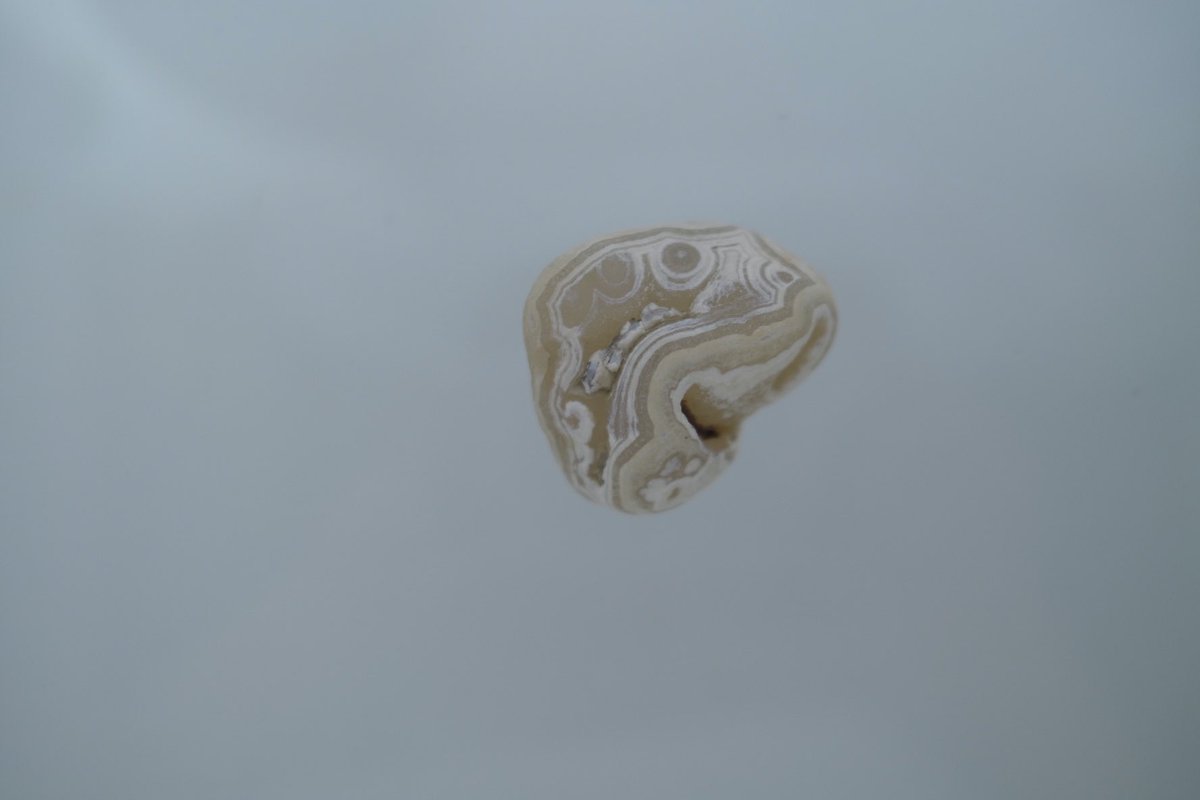 UUceramic's tweet image. porcelain object “private metamorphic rock” 100×110×20mm 2023.
来週からの函館の展示に出品します。
前回行ったとき、近くの海岸でとても大きくてきれいなメノウを見つけたので（写真4・5枚目）今回も探しに行こうと思っています。

#uuceramicjewelry #porcelain #ceramic  #potter