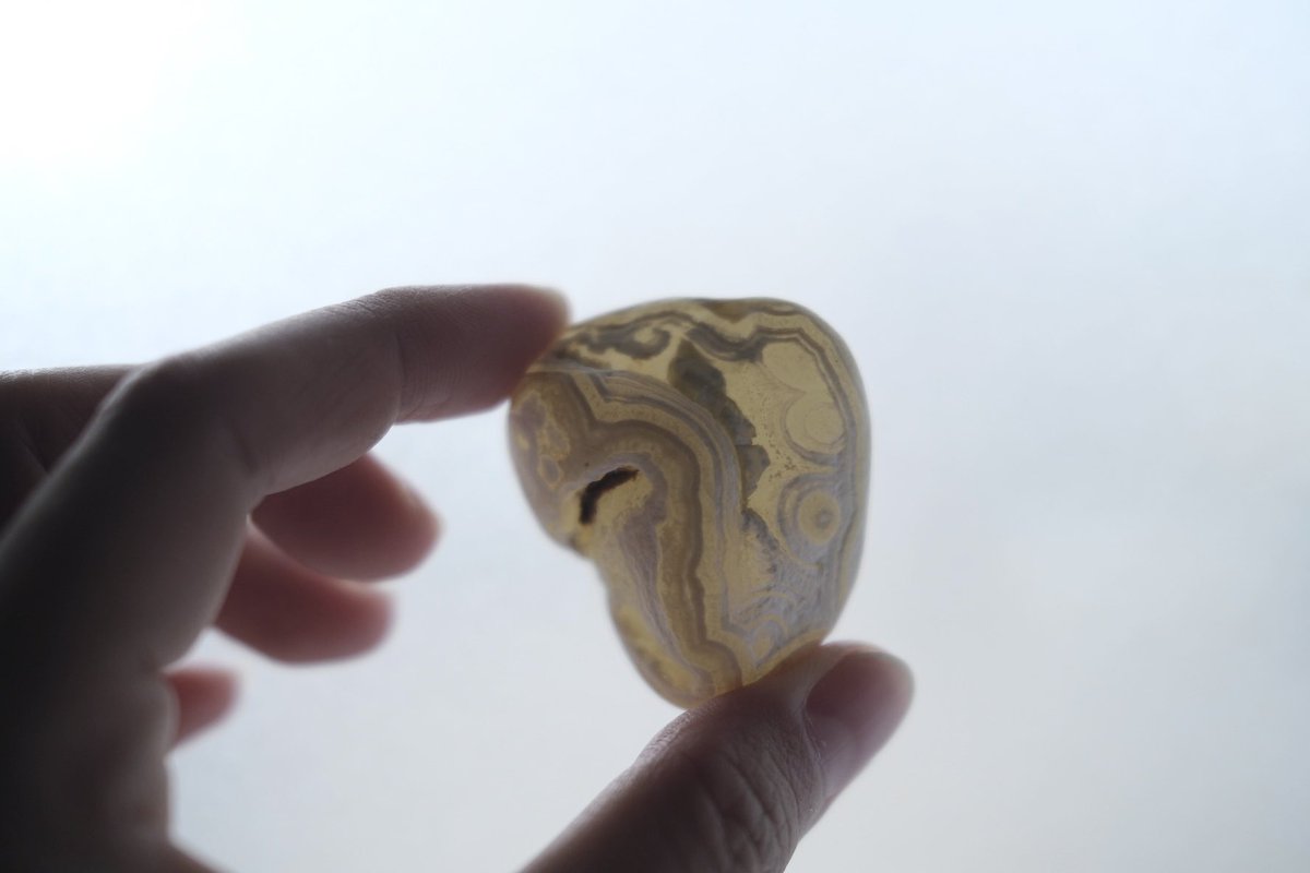 UUceramic's tweet image. porcelain object “private metamorphic rock” 100×110×20mm 2023.
来週からの函館の展示に出品します。
前回行ったとき、近くの海岸でとても大きくてきれいなメノウを見つけたので（写真4・5枚目）今回も探しに行こうと思っています。

#uuceramicjewelry #porcelain #ceramic  #potter