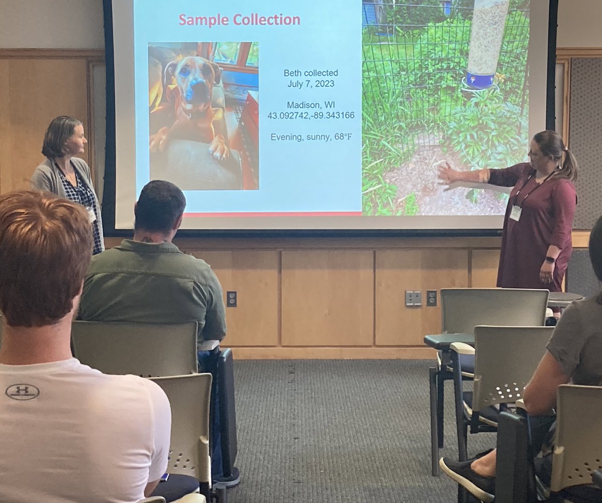 Phage Olympics! <a href="/HHMIBilly/">Billy Biederman</a> presides. Phage discovery workshop participants advocate for sequencing of their phages. Two phages will be selected for sequencing. Whose will it be? <a href="/UMBC/">UMBC</a> @HHMINEWS #SEAPHAGES