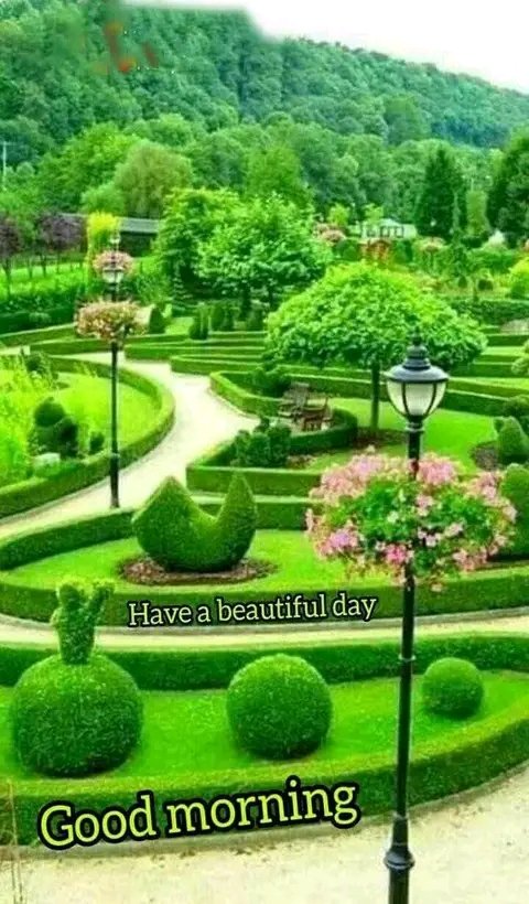 Mis you all freands good  morning