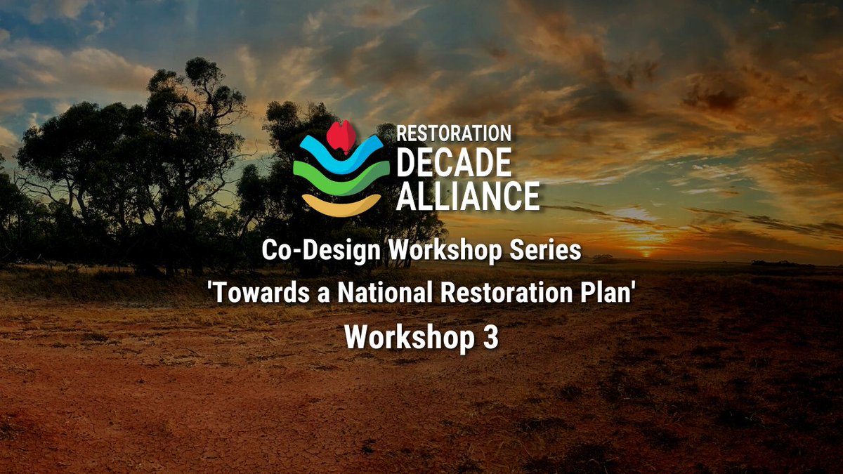 Workshop 3 (Wed 23 Aug, 1-4pm AEST) will culminate in the development of a discussion paper on a National Restoration Plan, and a symposium and workshop to be presented at the SER World Restoration Conference in Darwin this Sept. events.humanitix.com/rda-co-design-…