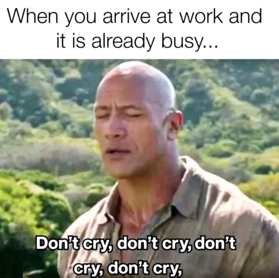 moggie611's tweet image. Good morning,  have a fabulous friday #thatfridayfeeling
#poetsday