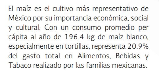 Ecorazado's tweet photo. @ElenoAM 20% del gasto en total en alimentos y bebidas de las familias mexicanas es en maíz. Y luego dices que es romanticismo cursi pfff https://t.co/Vx9zCs0UVr