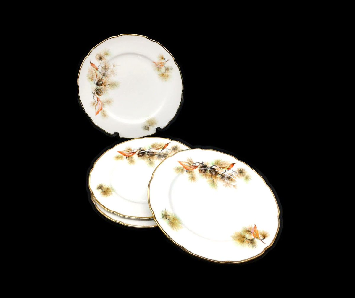 G97816960Girl's tweet photo. Fine Translucent China Pine Tree salad plates made in Japan. https://t.co/vqtC4G3xfv via @Etsy #BuyfromGroovy #tableware #dinnerware #antiqueshop #vintagetableware #FineTranslucentChina #FineChinaJapan #JapanPineTree #EtsySellers https://t.co/3MXXfxgKRW