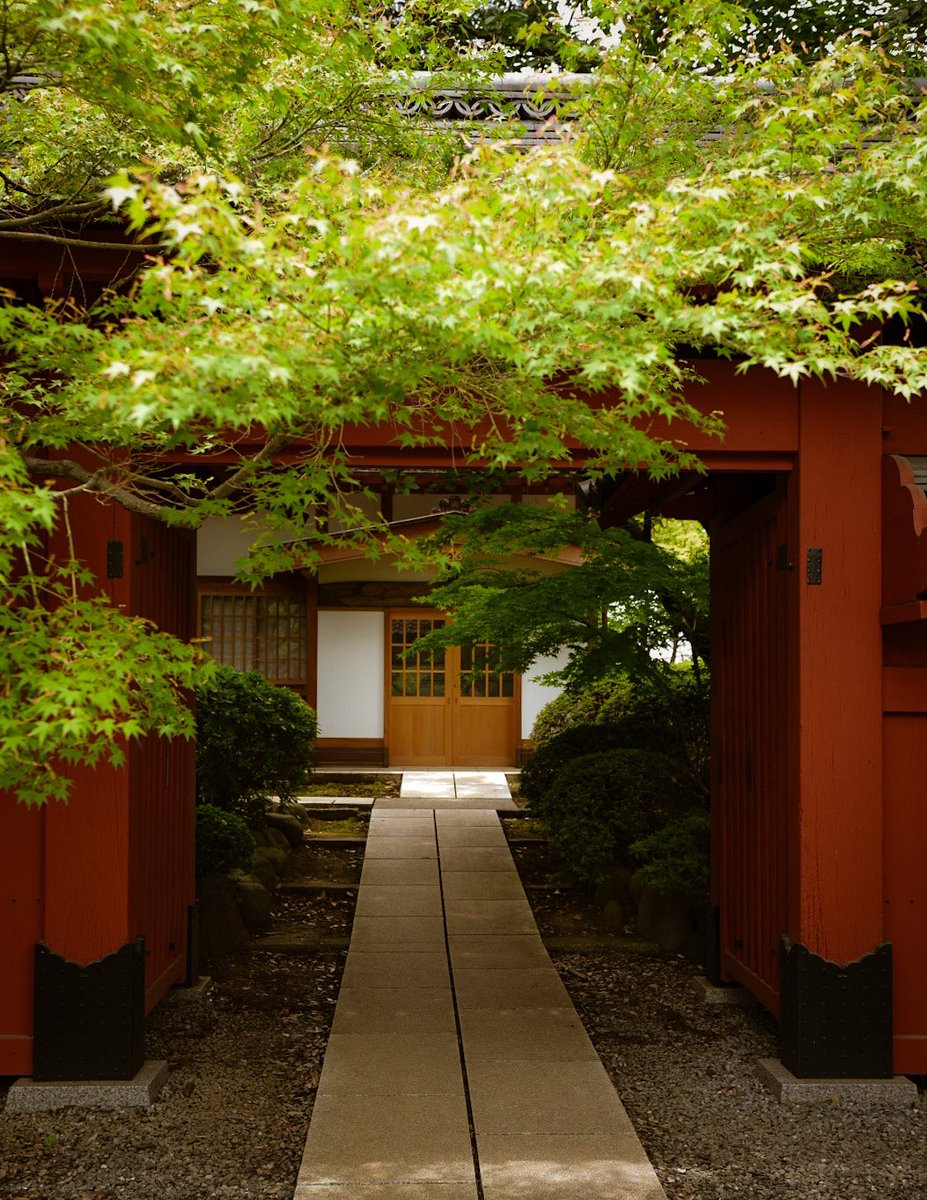 Gm 🇯🇵⛩️frens