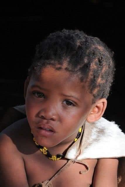 Joe__Bassey's tweet photo. Earliest African Tribes.
The San tribe has been living in Southern Africa for at least 30,000 years and they are believed to be not only the oldest African tribe, but quite possibly the world's most ancient race. The San have the most diverse and distinct DNA than any other indigenous African group - reported by https://t.co/44UmBaBtyw .
The san tribe, the Igbo and Yoruba possess the Y-chromosome. While the Igbo and Yoruba possess the Haplogroup_E-M2, which Possible time of origin 39,300 years Possible place of origin Western Africa, the San haplogroups are specific A and B, the two earliest branches on the human Y-chromosome.
A DNA study of fully sequenced genomes, published in September 2016, showed that the ancestors of today's San hunter-gatherers began to diverge from other human populations in Africa about 200,000 years ago . Archeological and genetic studies also showed that the ancestors of the Igbos have settled in their present location about 100,000 years ago.
#Africa