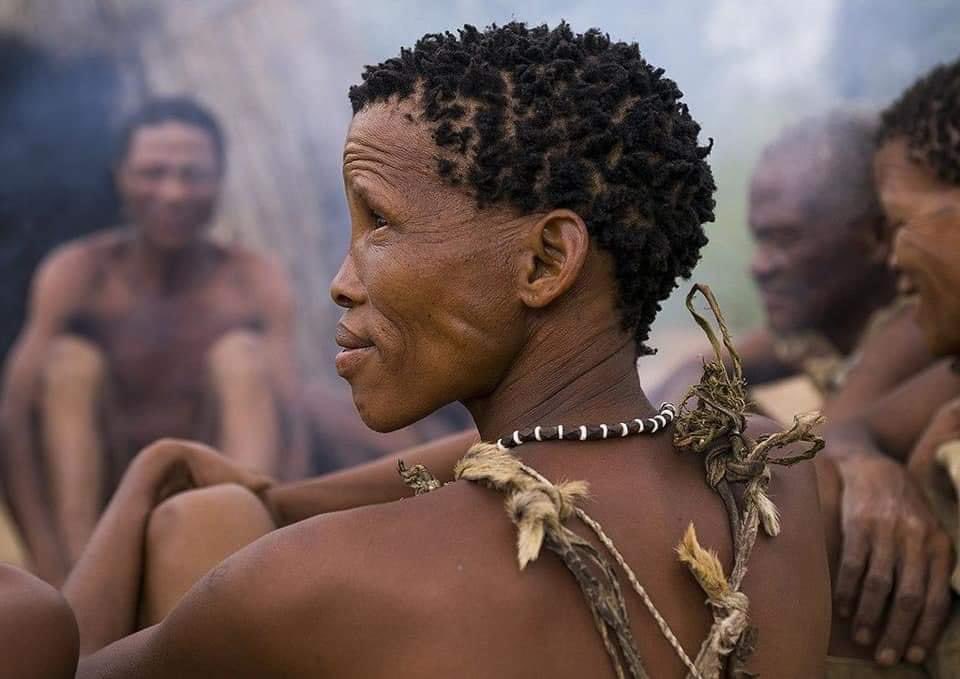 Joe__Bassey's tweet photo. Earliest African Tribes.
The San tribe has been living in Southern Africa for at least 30,000 years and they are believed to be not only the oldest African tribe, but quite possibly the world's most ancient race. The San have the most diverse and distinct DNA than any other indigenous African group - reported by https://t.co/44UmBaBtyw .
The san tribe, the Igbo and Yoruba possess the Y-chromosome. While the Igbo and Yoruba possess the Haplogroup_E-M2, which Possible time of origin 39,300 years Possible place of origin Western Africa, the San haplogroups are specific A and B, the two earliest branches on the human Y-chromosome.
A DNA study of fully sequenced genomes, published in September 2016, showed that the ancestors of today's San hunter-gatherers began to diverge from other human populations in Africa about 200,000 years ago . Archeological and genetic studies also showed that the ancestors of the Igbos have settled in their present location about 100,000 years ago.
#Africa