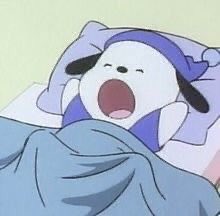 SoftnessDaily's tweet photo. me taking a nap https://t.co/d5eg2JKuXL