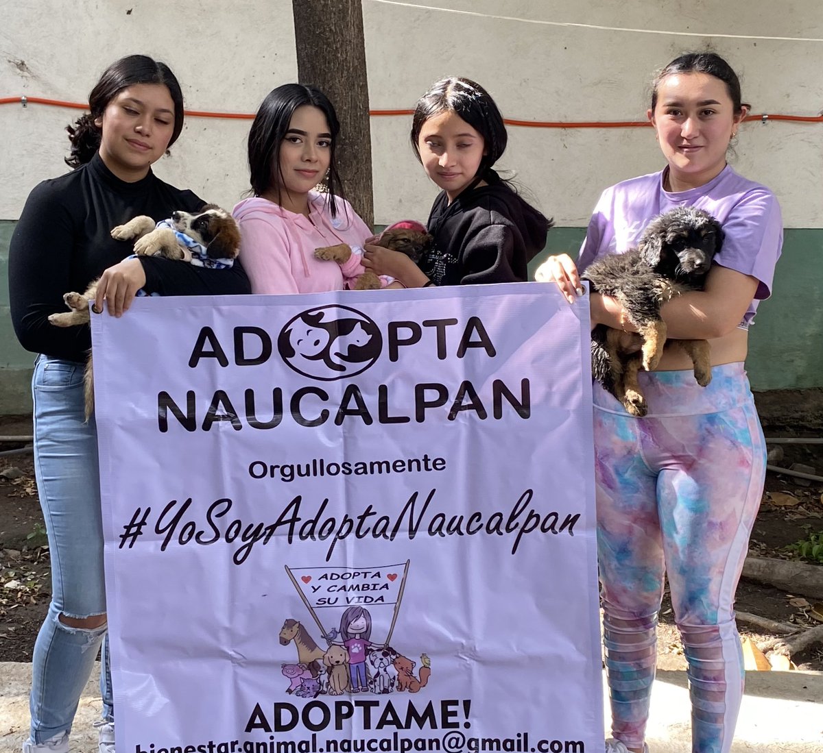 AdoptameNaucal1's tweet photo. Quiero agradecer a este grupo de voluntarias que ayudaron en esta dinámica de apapacho para socializar a los cachorros! Aparecen con el permiso de sus padres https://t.co/WU3RFEdXTo
