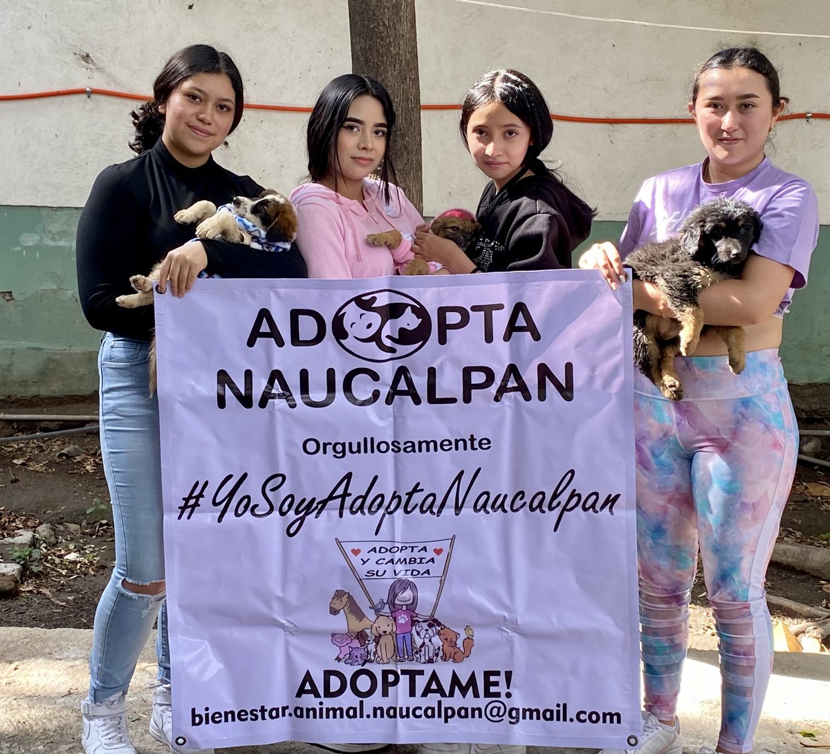 AdoptameNaucal1's tweet photo. Quiero agradecer a este grupo de voluntarias que ayudaron en esta dinámica de apapacho para socializar a los cachorros! Aparecen con el permiso de sus padres https://t.co/WU3RFEdXTo