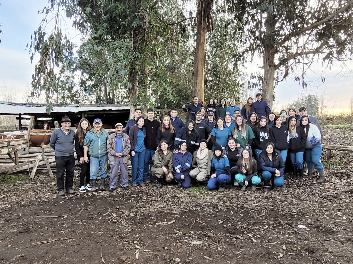 udalbachillan's tweet photo. En #sanignacio #medicinaveterinaria #udalbachillan @Udalba_Chile con @SeremiSalud16 y la Municipalidad d la comuna participaron de operativo de emergencia por crecida del Río #Diguillin, chequeando animales de ganado y menores, para minimizar riesgo sanitario.
#udalba #lideres https://t.co/LnvqbTQl9N