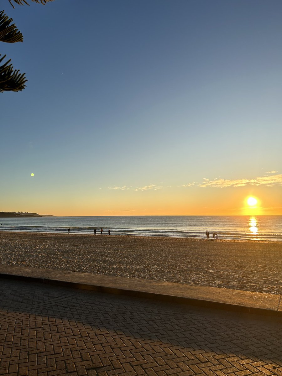 RathLeanne's tweet photo. In Manly, Sydney. Magnificent winter morning. Started with a swim. Spending the morning reading / reflecting by the beach - getting ready for #Explorepain Brisbane @altThinq in a week. Also on the #Wallabies bandwagon. Game against Argentina tomorrow night. #thegoodlife https://t.co/PkAdVQCrO9