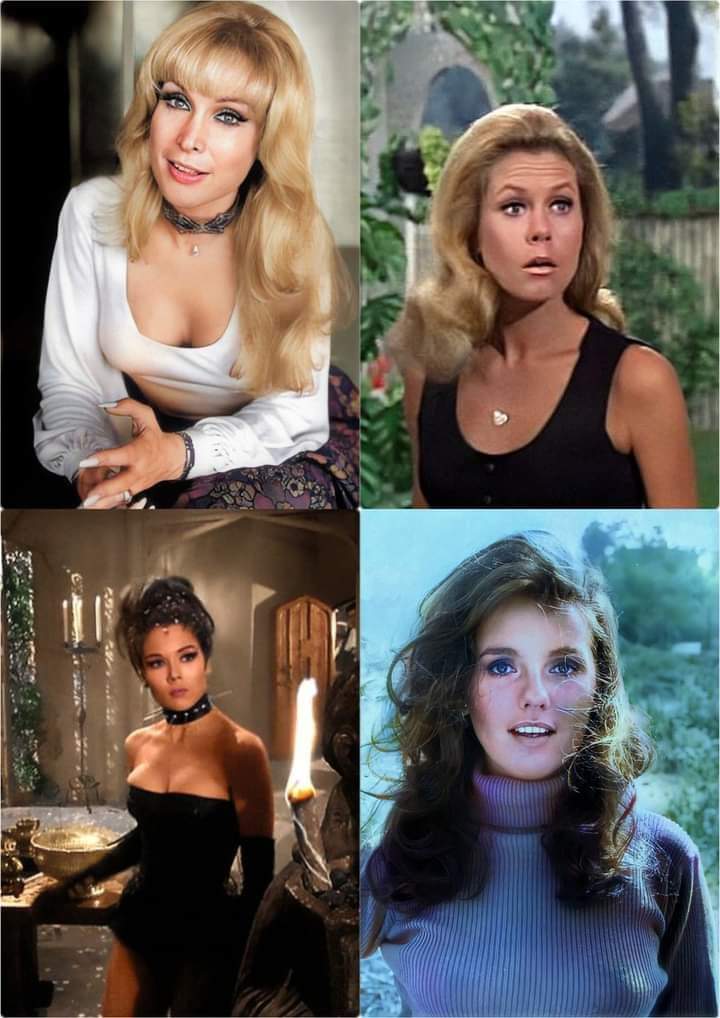 Barbara Eden, Elizabeth Montgomery ,Diana Riggs , Dawn Wells. If you are stuck on an island with these lovely ladies , what method would you use to get rescued? https://t.co/z1VjHVtgCG