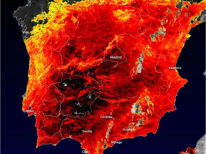 ECOWARRIORSS's tweet photo. Tourists still living in a fantasy world
Spain air temps over in Madrid and Seville in Spain reached 46 and 47°C  (116 F) respectively
Land temps over 60 C (140F) 
Tourists in their thousands in their fossil fuel planes are flying into this to enjoy the Sun
Many collapsing https://t.co/YNUJxfOHO0