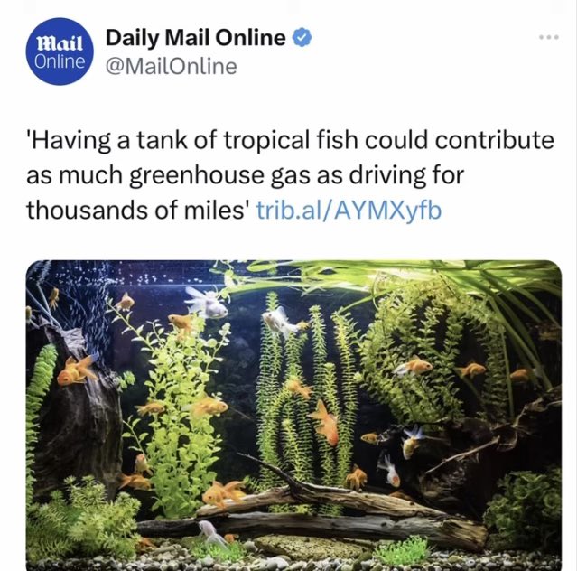 Wall Street Mav tweet media