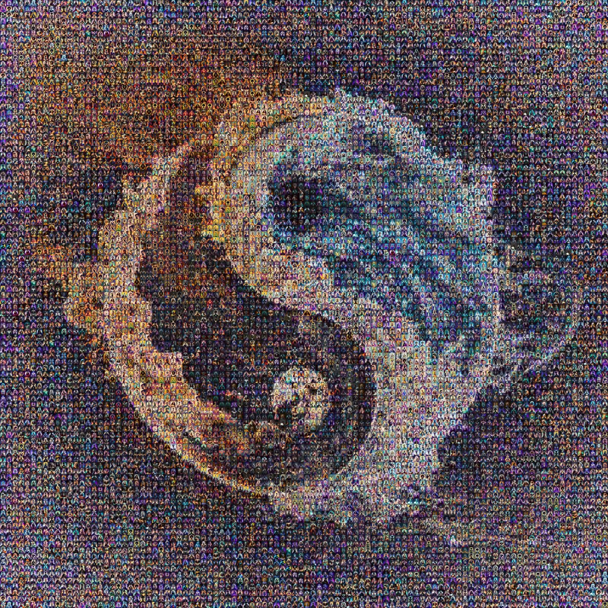 Mosaics tweet media