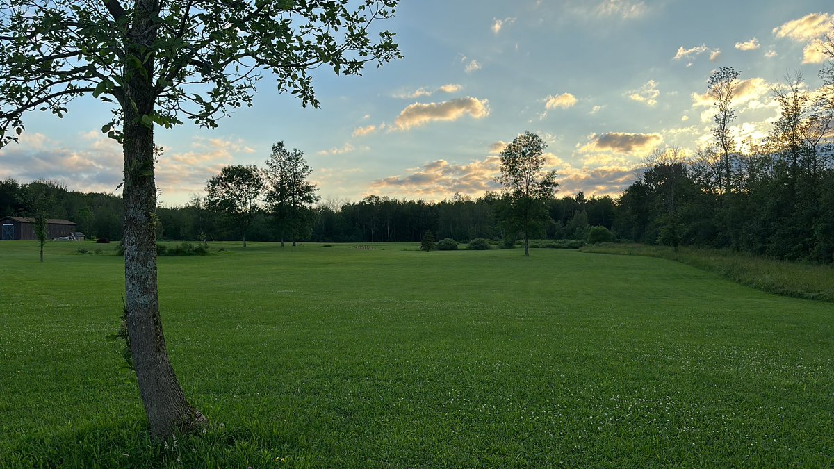 This is the beautiful view I get to see every single day on my walks

Walking helped me break through many pleateaus, both mental and physical

Take a 30-45 min walk in the morning and at night

It has SAVED my knees, my lower back, and my hips. 

Just get out there for a bit