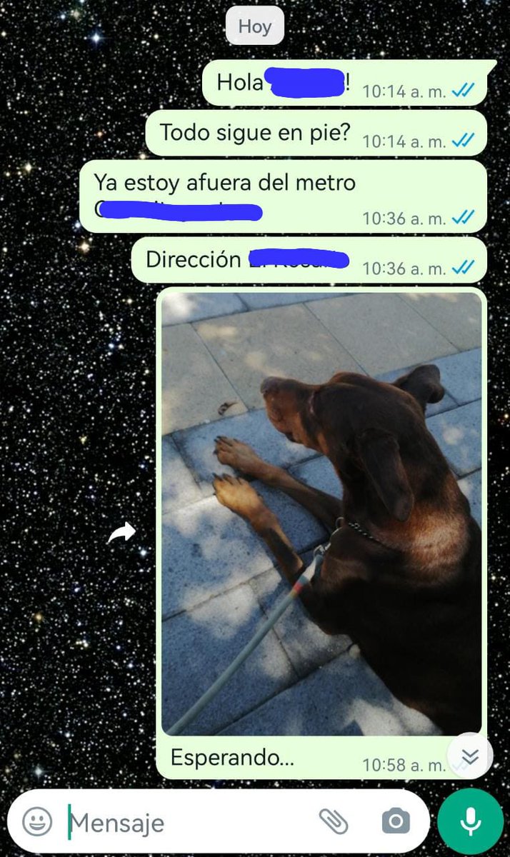 Amor Con Garra tweet media