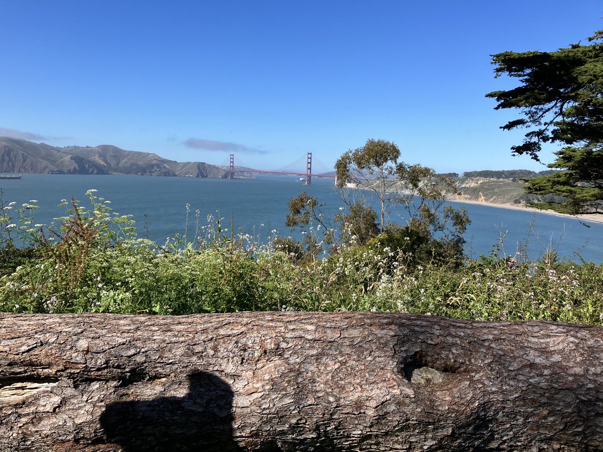 SteveKronerSF's tweet photo. No matter how poorly you’re playing — and please don’t ask about my putting — the view from the 17th tee at Lincoln Park puts you in a much better mood. #DoesNotGetOld #DoNotAskAboutMyPutting https://t.co/BO20h54J3k