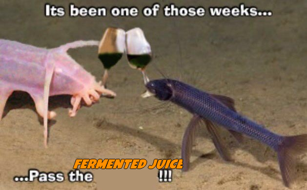 <a href="/dracula_hylics/">Dracula</a>